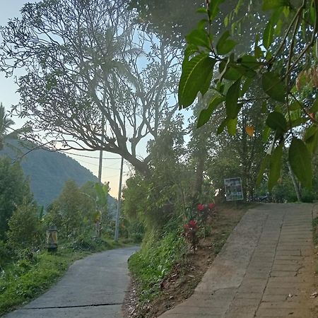 Jepun Homestay Lemukih Singaraja Dış mekan fotoğraf