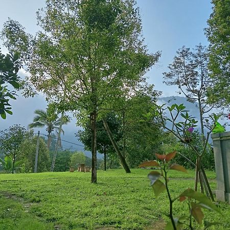 Jepun Homestay Lemukih Singaraja Dış mekan fotoğraf