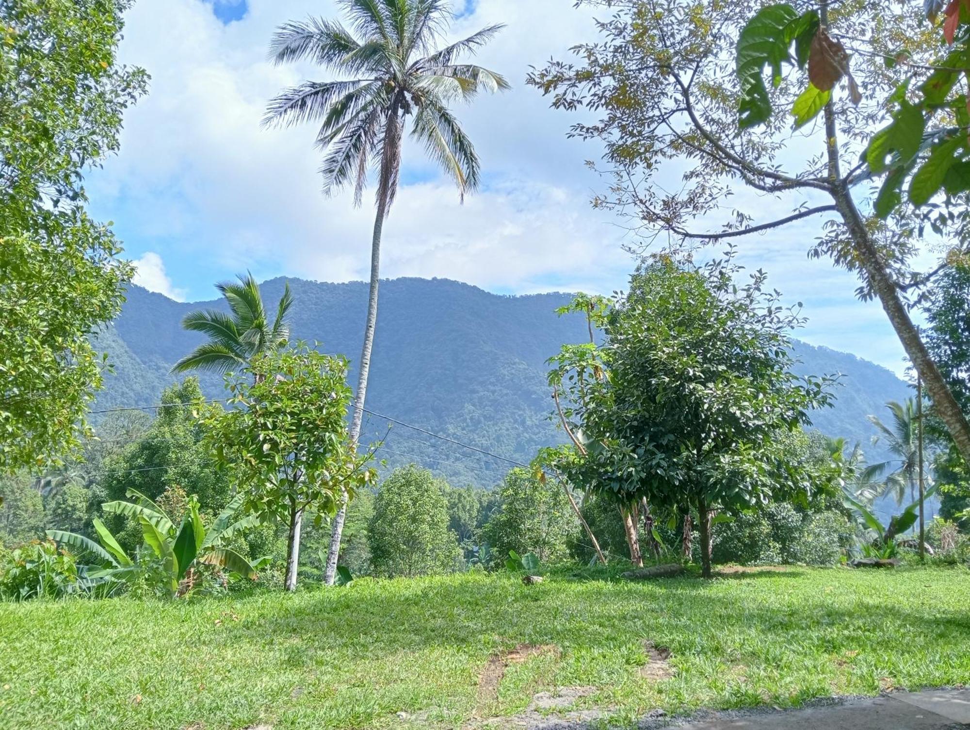 Jepun Homestay Lemukih Singaraja Dış mekan fotoğraf