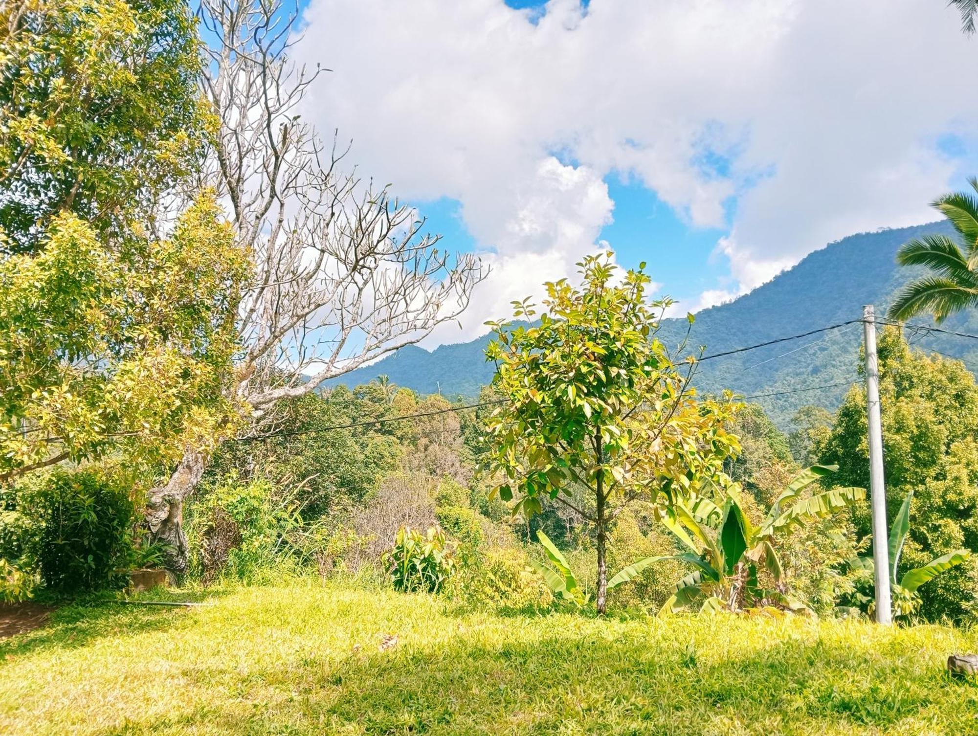 Jepun Homestay Lemukih Singaraja Dış mekan fotoğraf