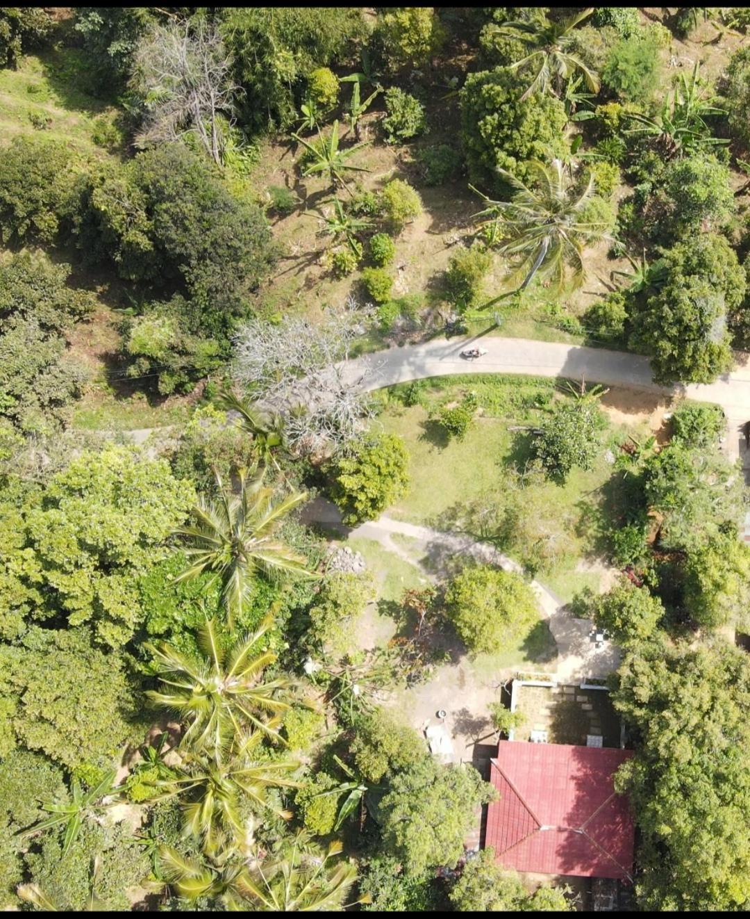 Jepun Homestay Lemukih Singaraja Dış mekan fotoğraf