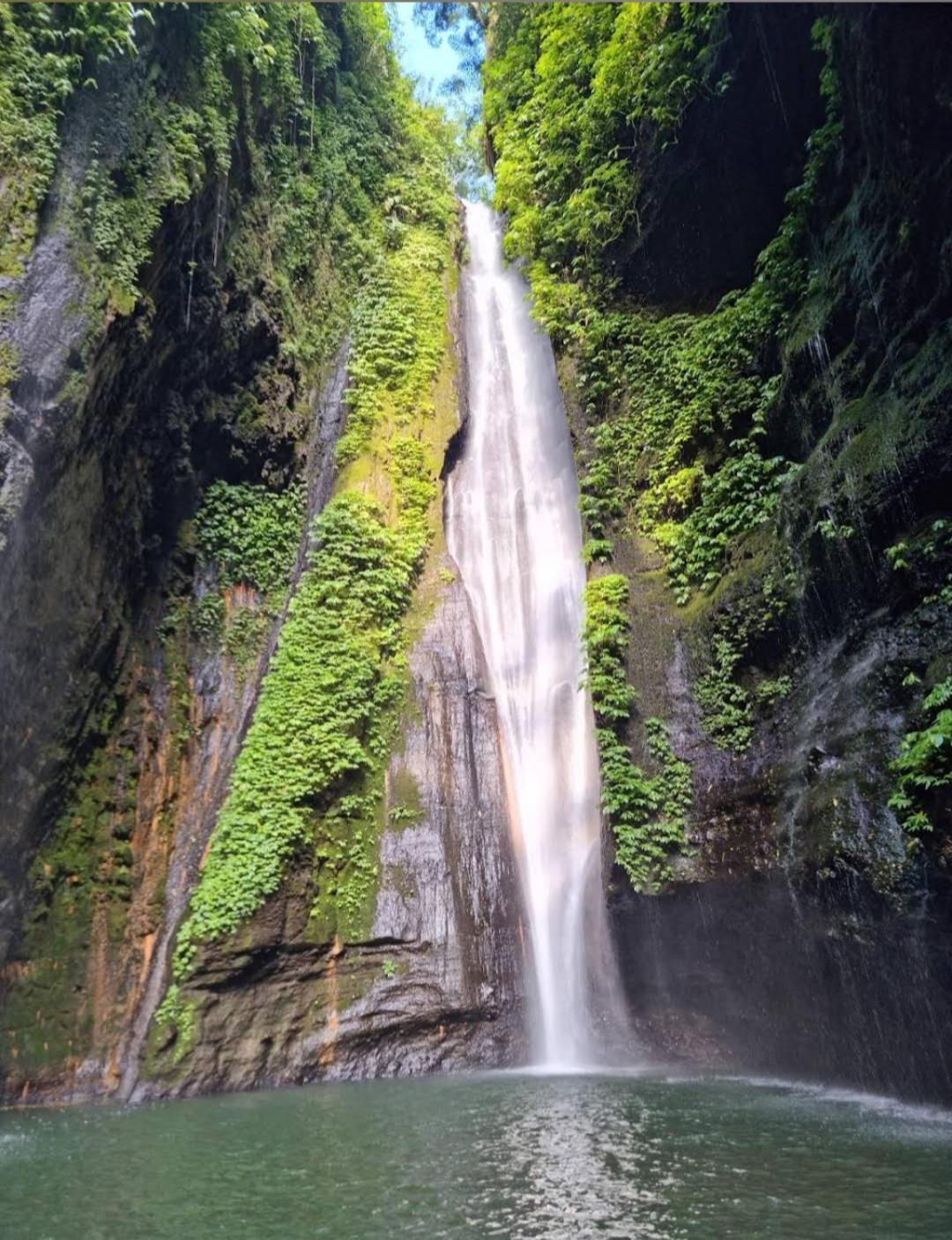 Jepun Homestay Lemukih Singaraja Dış mekan fotoğraf