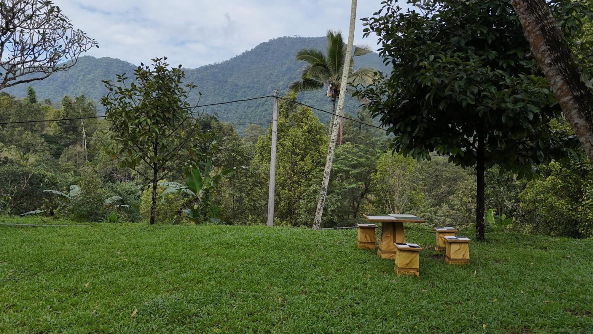 Jepun Homestay Lemukih Singaraja Dış mekan fotoğraf