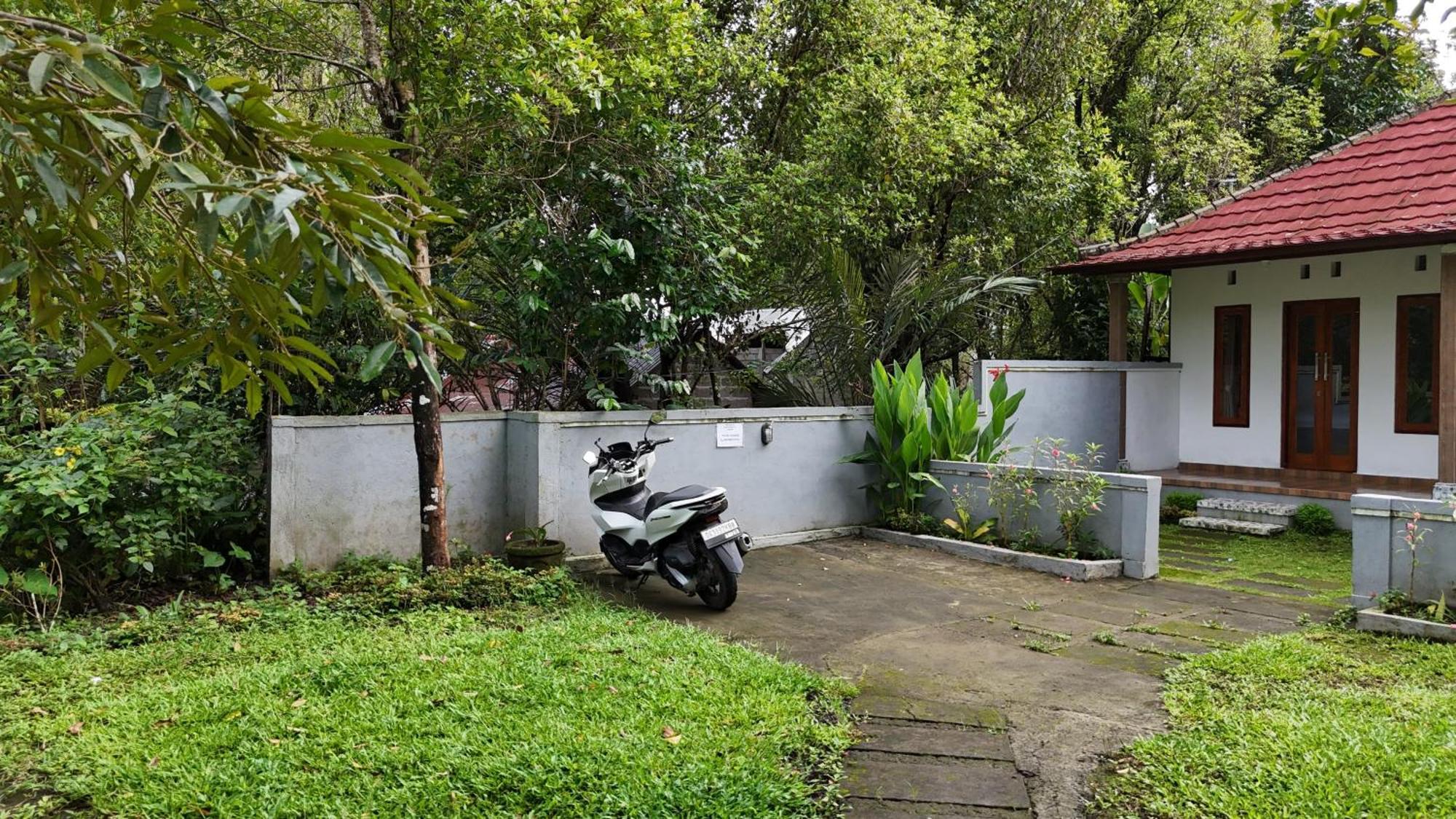 Jepun Homestay Lemukih Singaraja Dış mekan fotoğraf